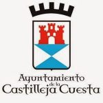 CASTI